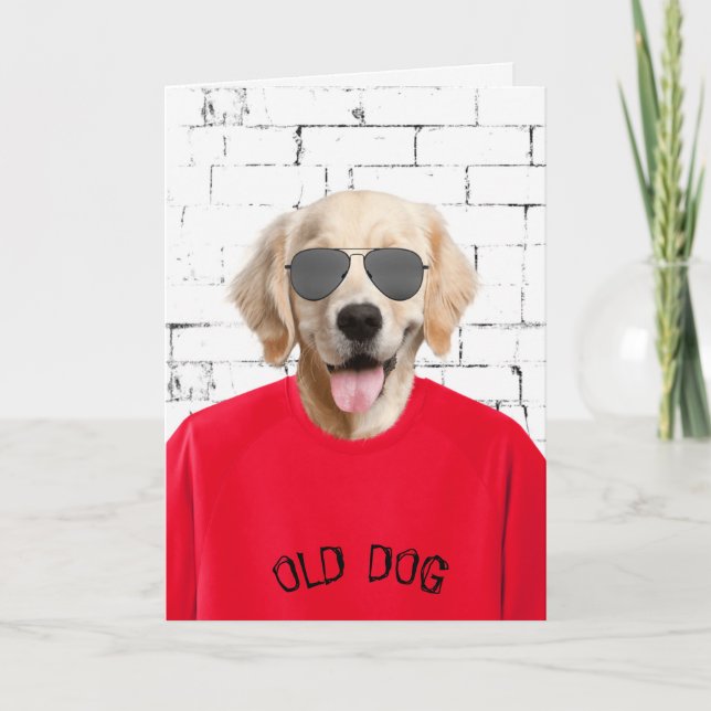 birthday golden retriever in red t-shirt card (Front)