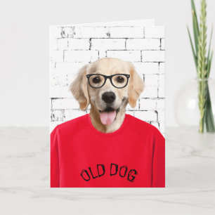 birthday golden retriever in red t-shirt card