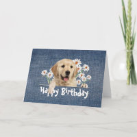 Birthday Golden Retriever on Blue Denim
