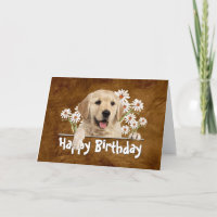 Birthday Golden Retriever on Brown Leather