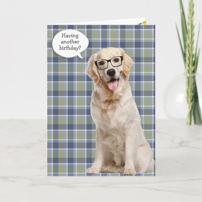 Birthday Golden Retriever On Plaid Card (Front)