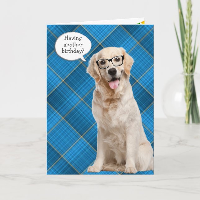 Birthday Golden Retriever On Plaid Card (Front)