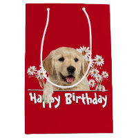 Birthday Golden Retriever On Red