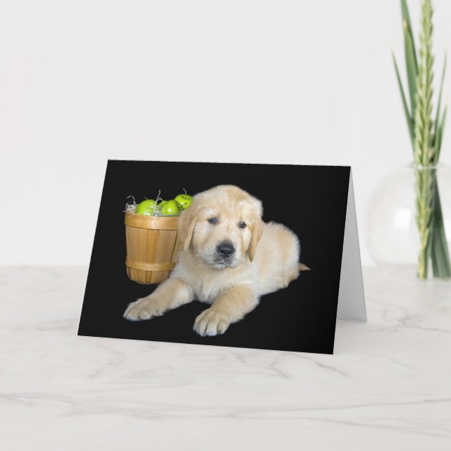 Birthday Golden Retriever with Apples Card (Front)