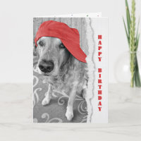Birthday Golden Retriever with Red Cap