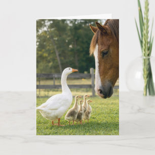Birthday Goose with Goslings and Horse Card