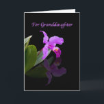 Birthday, Granddaughter, Orchid Reflected on Black Card<br><div class="desc">This lovely orchid makes a splendid birthday greeting card.  Feel free to change the inside verse to suit your needs.</div>