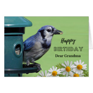 Birthday Grandma Blue Jay at Bird Feeder Daisies