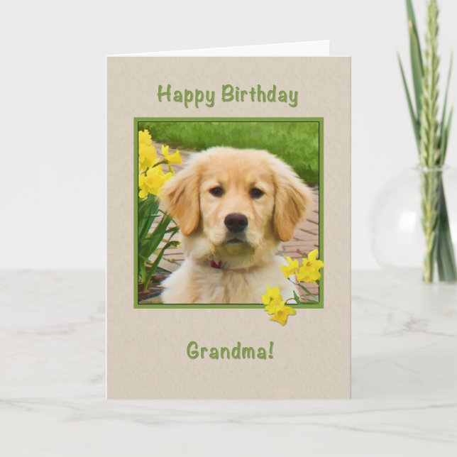 Birthday, Grandma, Golden Retriever Dog, Daffodils Card (Front)