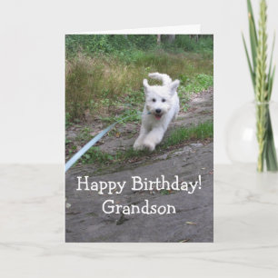 Birthday Grandson Cute Running Goldendoodle Pup Card