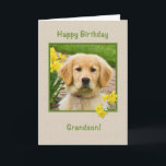 Birthday, Grandson, Golden Retriever Dog Card<br><div class="desc">Nothing says "love" more than the big brown eyes of a Golden Retriever pup.  Add a few yellow daffodils and you have a way to wish someone a happy birthday.  Feel free to change the inside verses to suit your needs.</div>