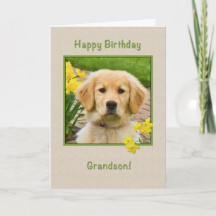 Birthday, Grandson, Golden Retriever Dog Card