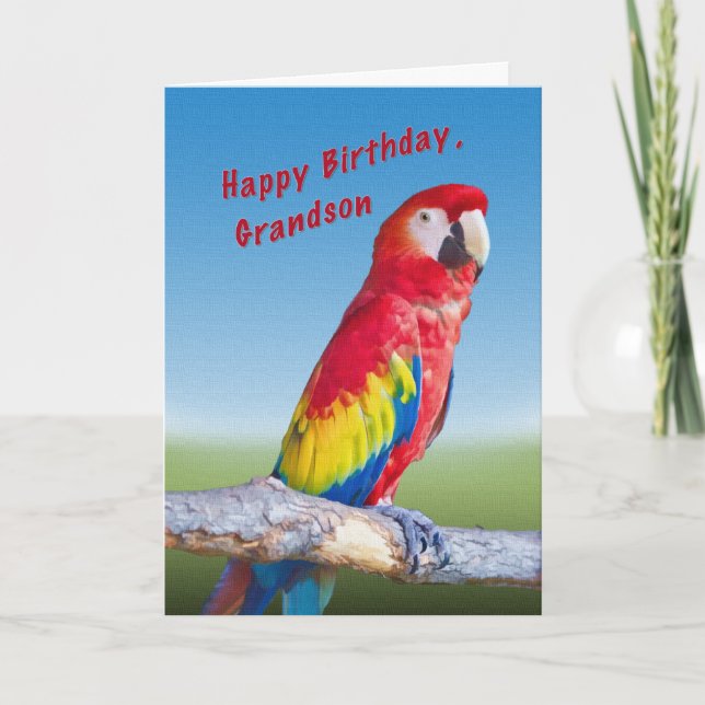 Birthday, Grandson, Macaw Parrot Card (Front)