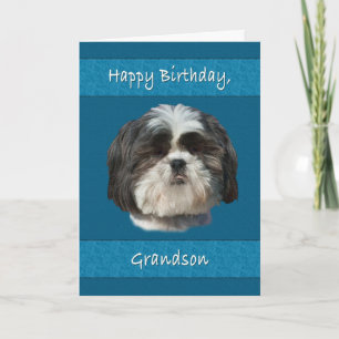 Birthday,  Grandson, Shih Tzu Dog Card