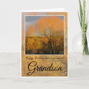 Birthday Grandson,  Sunkissed Winter Trees. Card