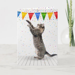 Birthday Gray Tabby Cat In Confetti Card
