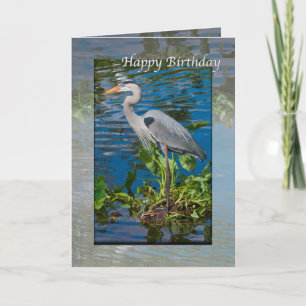 Birthday, Great Blue Heron in Lake Card