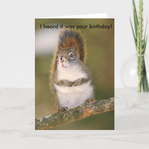 Birthday Greeting Card - Squirrel