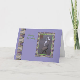 Birthday Greeting Card with Egret and Alligator