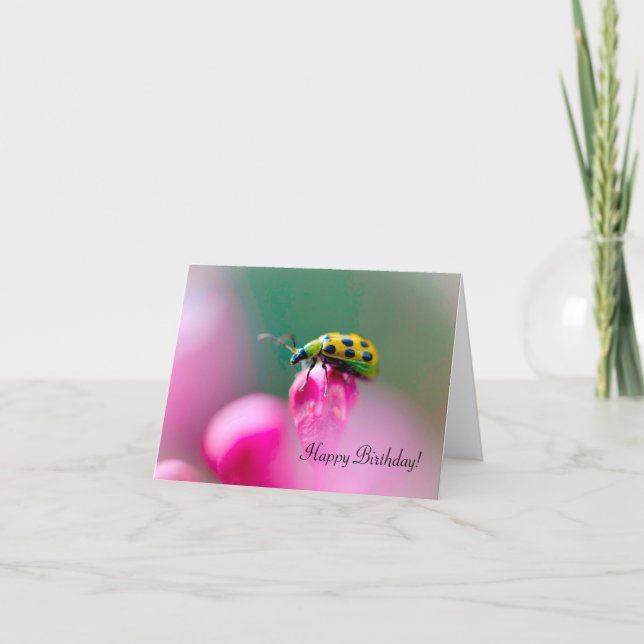 Birthday Greeting Card with Ladybug Design (Front)