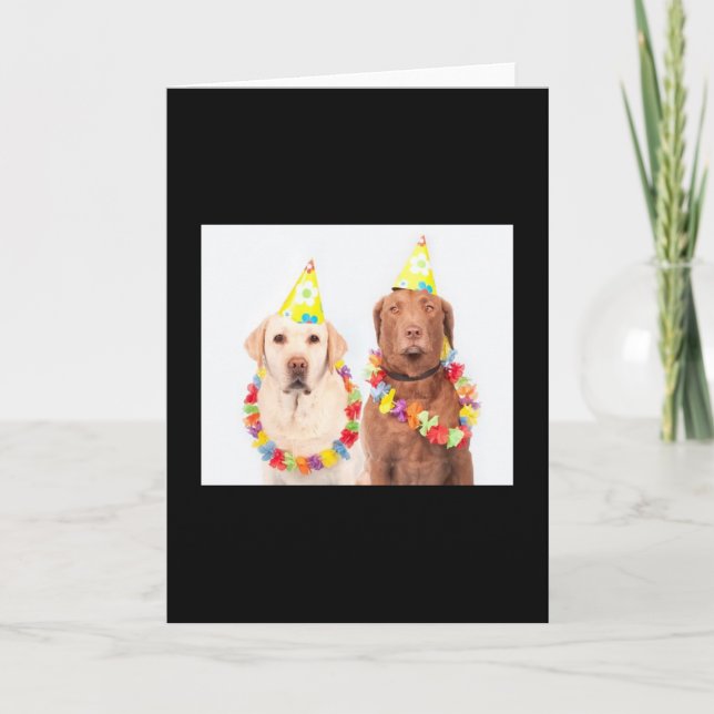 Birthday 🎂 greeting cards, for sale ! card (Front)