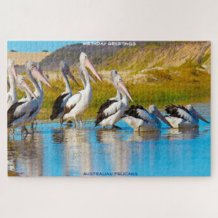 Birthday Greetings Australian Pelicans Jigsaw Puzzle