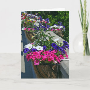Birthday Greetings, Flowers in Leland Michigan Card