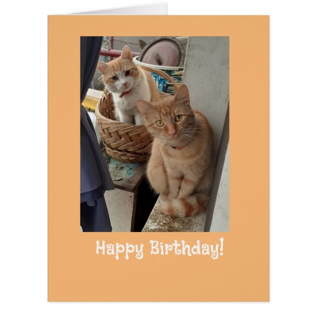 Birthday Greetings Ginger Cats (Front)