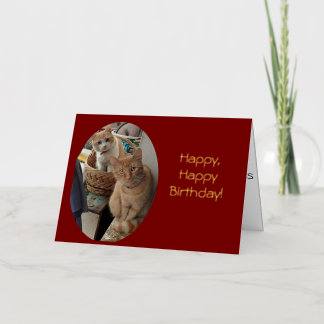Birthday Greetings Ginger Cats Foil Greeting Card