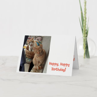 Birthday Greetings  Ginger Cats Foil Greeting Card