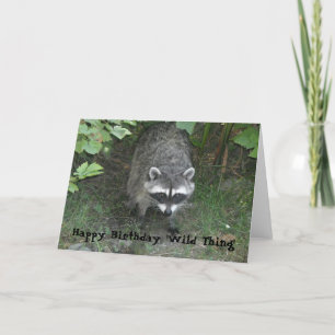 Birthday Greetings - Racoon Card