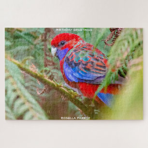 Birthday Greetings Rosella Parrot Jigsaw Puzzle