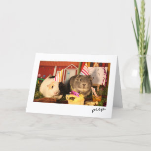 Birthday Guinea Pigs Card