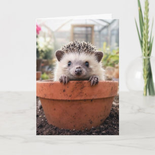 Birthday Hedgehog in a Clay Flower Pot Card