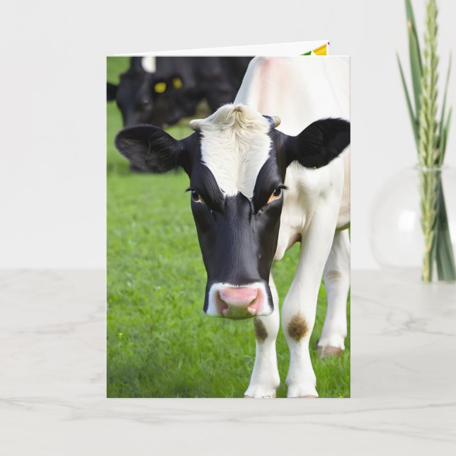Birthday Holstein Cow In Pasture Card (Front)