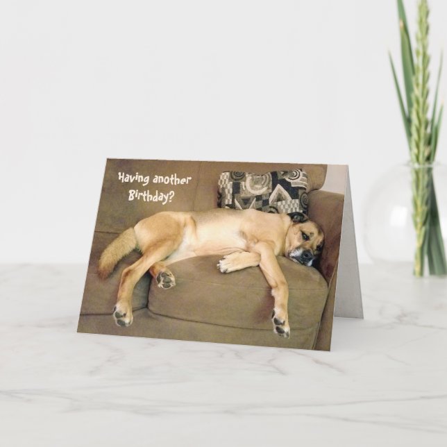 Birthday Hound Dog Card (Front)