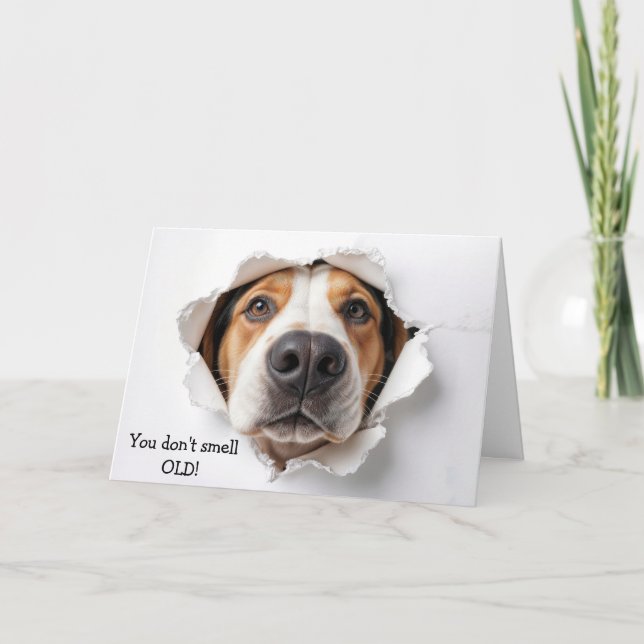 Birthday Hound Dog Face In Paper Hole Card (Front)
