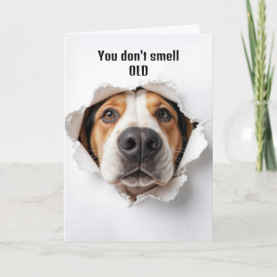 Birthday Hound Dog In Paper Hole Card