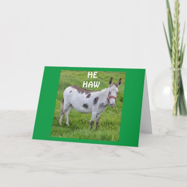 **BIRTHDAY HUMOR FROM A DONKEY NO LESS** Card (Front)