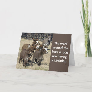 **BIRTHDAY HUMOR FROM DONKEYS NO LESS** Card