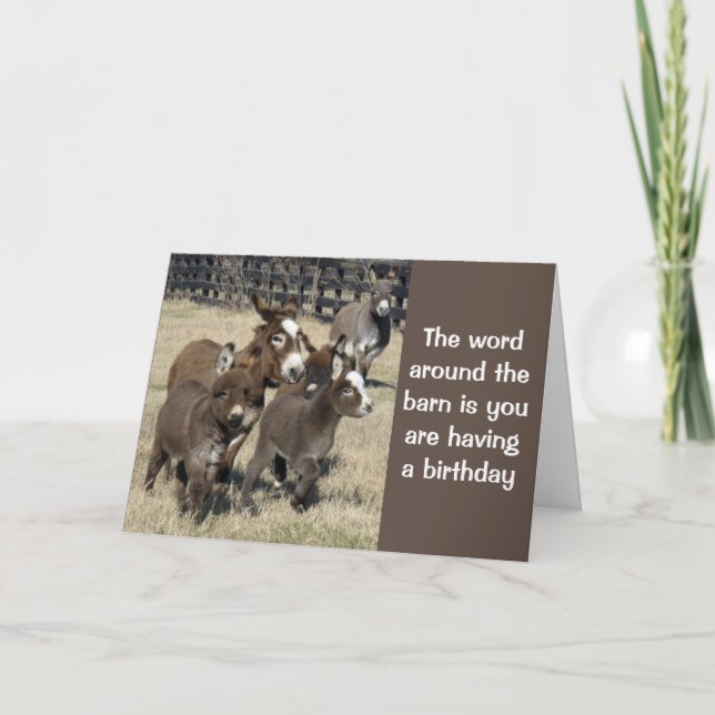 **BIRTHDAY HUMOR FROM DONKEYS NO LESS** Card (Front)