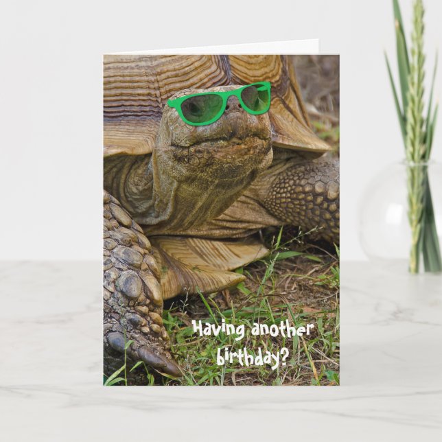 birthday humor-old tortoise in green glasses card (Front)