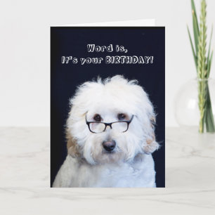 BIRTHDAY - HUMOR W/DOG/BLACK-RIM GLASSES CARD