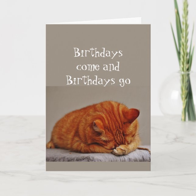 Birthday Humour 100th Over the Hill Disgusted Cat Card (Front)