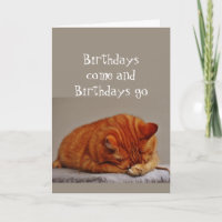 Birthday Humour 100th Over the Hill Disgusted Cat