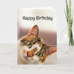 Birthday Humour Animal Pet Cat Kittens Card