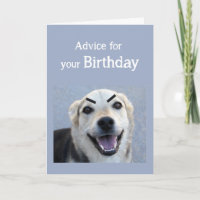 Birthday Humour Cute Dog Fading Eyesight Makup fun