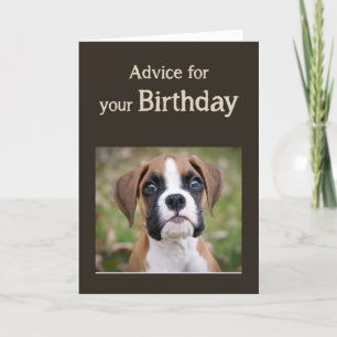 Birthday Humour Cute Dog Inspirational Humour Advi Card