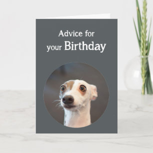 Birthday Humour Cute Dog Too Much Coffee Humour Card