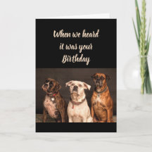 Birthday Humour From all of Us Boxer Dog Fun